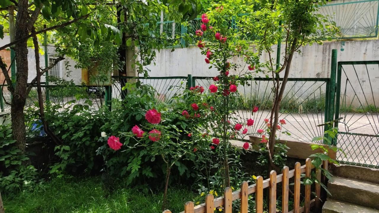 Borjomi Nest Exterior foto